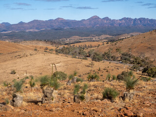 Panorama of Wilpena Range and foothills in the Flinders Ranges