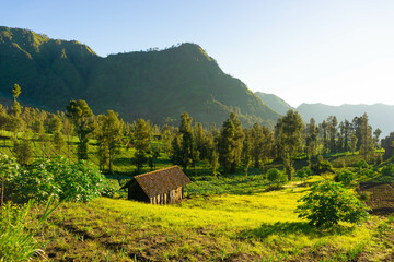 Desa Ngadisari near Mount Bromo East Java Indonesia.