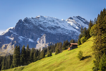 Fototapeta na wymiar Snowcapped Bernese Swiss alps and alpine farms, Switzerland