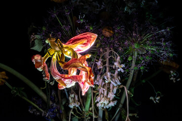 Fototapeta na wymiar A withered bouquet of flowers illuminated in the dark