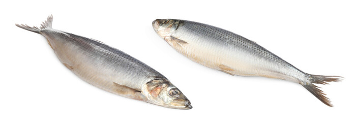 Two tasty salted herrings on white background. Banner design