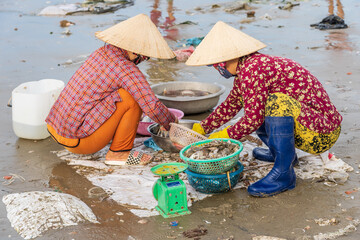 Two women on a beach wearing leaf hats sorting seafood into baskets