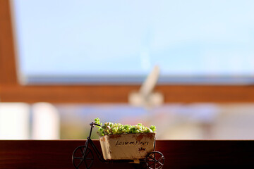 窓辺の景色　朝日が差し込む部屋の窓に飾られた観葉植物　窓のある生活