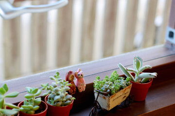 窓辺の景色　小さな木枠の窓に飾られた観葉植物　窓のある生活　癒やしの空間
