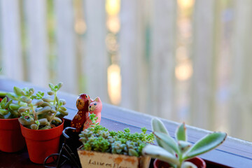 窓辺の景色　小さな木枠の窓に飾られた観葉植物　窓のある生活　癒やしの空間