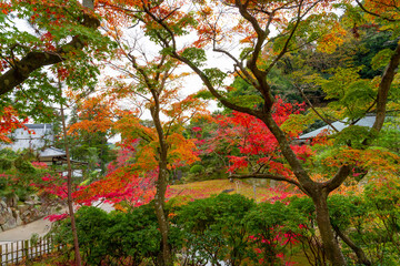 神奈川県鎌倉市　紅葉シーズンの円覚寺