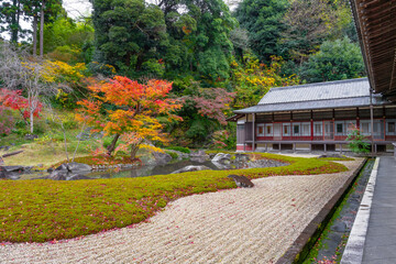 神奈川県鎌倉市　紅葉シーズンの円覚寺