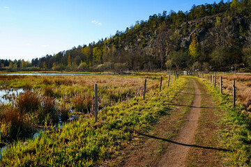 Naklejka premium autumn in the mountains