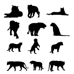 Silhouettes of various black tiger poses