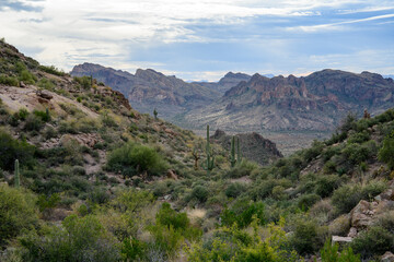 Landscape photograph of the Superstition Mountains in Arizona. 
