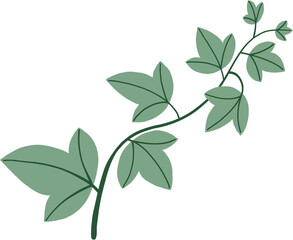 Simplicity ivy freehand drawing