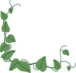 Simplicity ivy freehand drawing