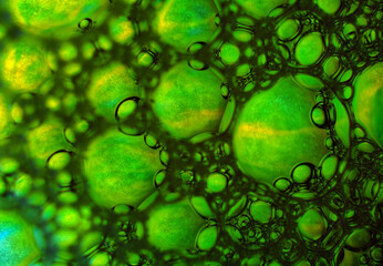 Artistic Bubble Project