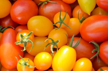 Fresh a lot of tomatoes. Colorful vegetable. Cherry Tomatoes, Grape Tomatoes.