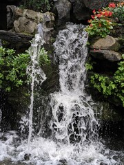 Waterfall landscapes with green leafs and flowers on rocks