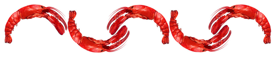 Lobster design element  Lobsters shaped as a circle around a blank plate isolated on a white background as fresh seafood or shellfish food concept
