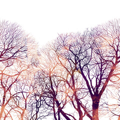 Bare tree seamless border. Digital drawing: line art. Backdrop endless rapport for packaging, scrapbooking, textiles, decoupage paper.
