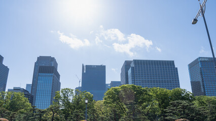 Fototapeta na wymiar 東京・千代田区オフィスビル群　皇居外苑から見た風景