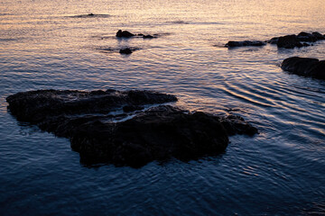夕暮の海の岩と波の静かな光景