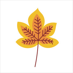 hand drawn tropical leaf color illustration