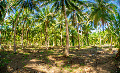 Thailand beach Chumphon zone