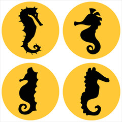 Sea Horses