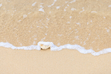 白い砂浜の白い石をを洗う小さな波