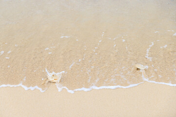 白い砂浜の白い石をを洗う小さな波