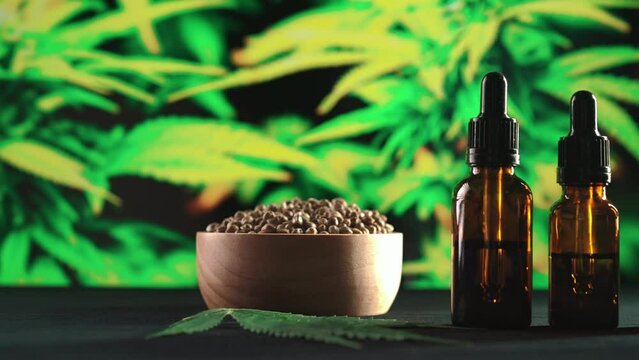 Legalized marijuana products from cannabis plant, hemp leaf. CBD oil bottle of various size, wooden bowl of hemp seeds with a hemp leaf on table with cannabis plant background for copyspace.