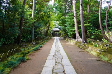 [Japan] The approach of Jufukuji Temple (Kamakura city, Kanagawa)