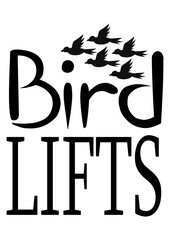 bird lifts

