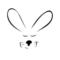 Hase