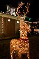 Christmas decoration and light on a reindeer