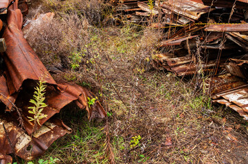 野ざらしのスクラップ