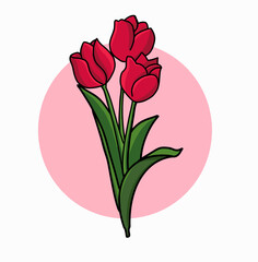 vector closeup of a red tulip flower isolated on white background with space for your text