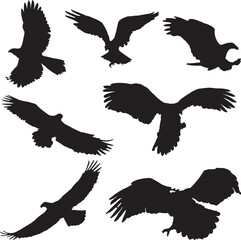 silhouettes of eagle . Eagle Silhouette set on white background