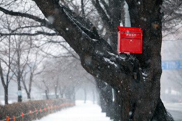 Snow mailbox