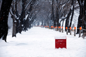 Snow mailbox