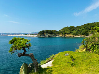 対岸に和歌山港を望む　岸壁と海