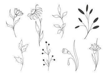 decorative flower set in vector and illustration