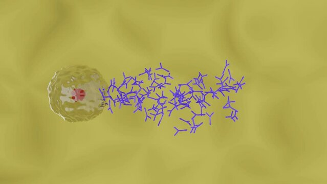 抗体を産生する形質細胞のイメージ