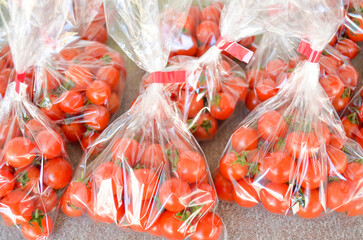 Fresh cherry tomatoes in bag for sale. ミニトマト 袋入り