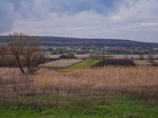 landscape with trees