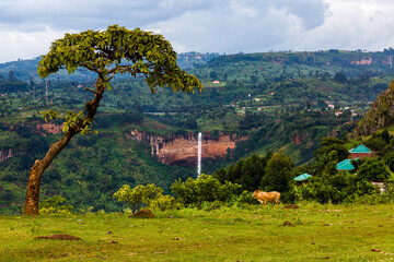 landscape with trees