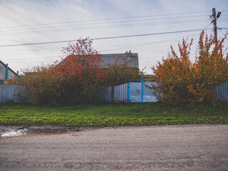 Obraz premium red barn in autumn