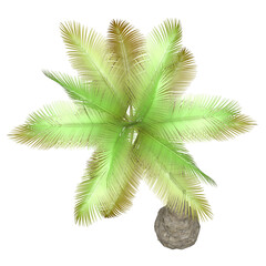 Generic Plant Tree PNG rendered in 4K Resolution for compositing and Background. With transparency alpha channel.  8K based in 3d model.