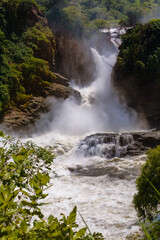 murchison falls