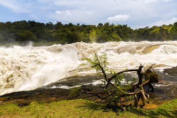 murchison falls