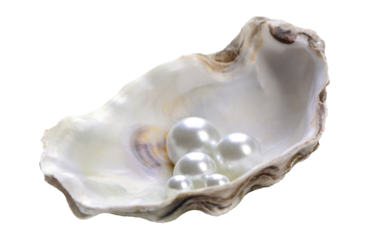 Pearl shell isolated on white