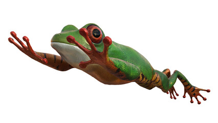 amazonas, frosch, springt, grün, orange, nass, wassertropfen, im Sprung, png